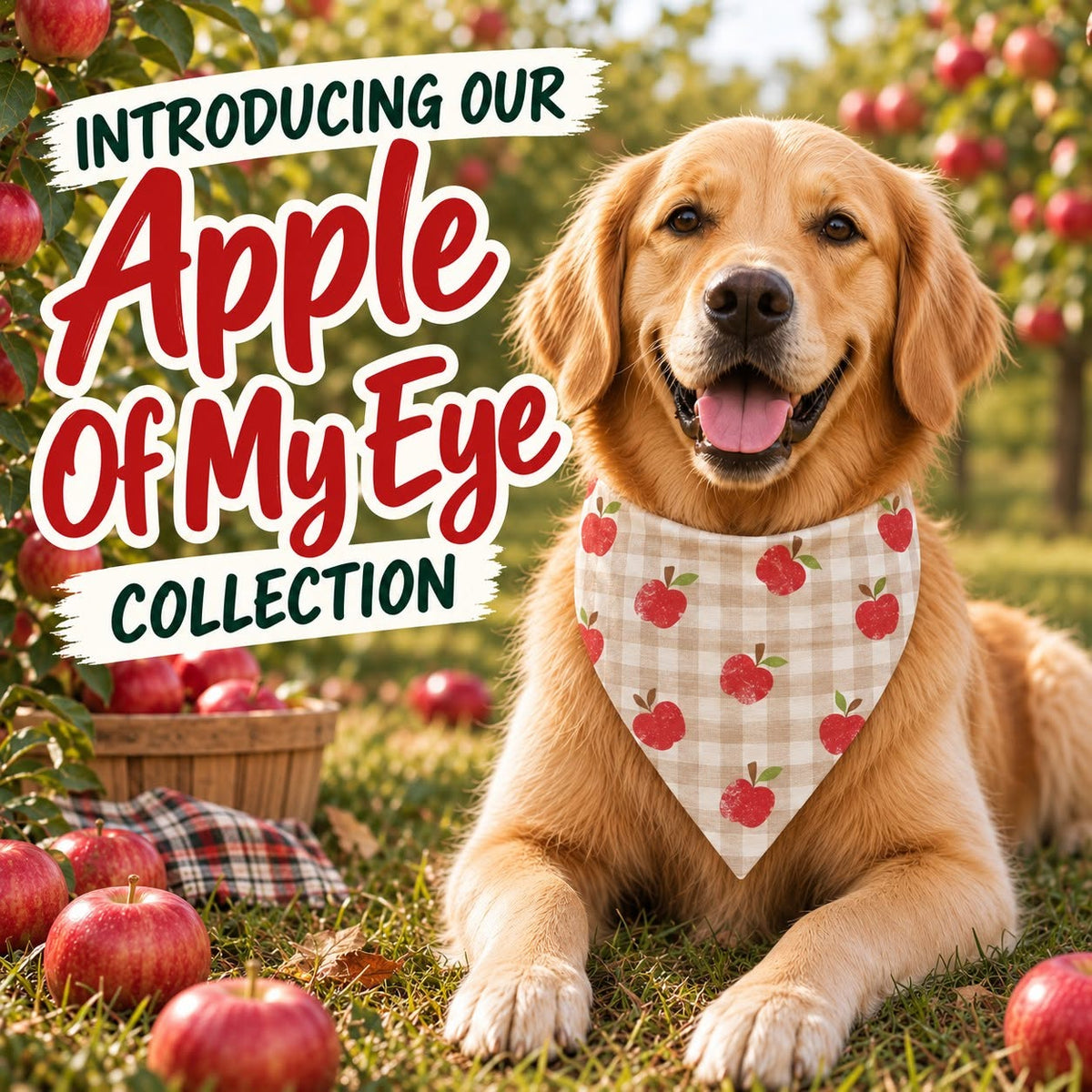Apple of My Eye (Preorder)